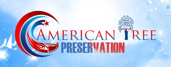 Logo Design by LoudDesignz for this project | Design #5983094