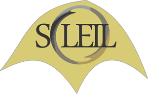 Logo Design by briinsbi
