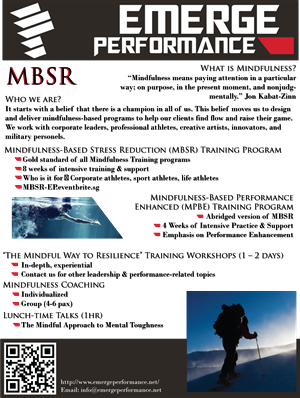 Infographic Design by TopazDragon