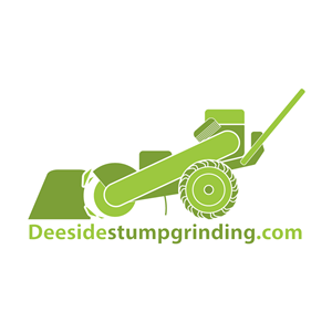 Logo Design by kleinhoppel