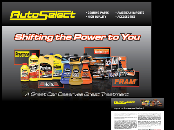 Flyer Design by Shockwave for this project | Design #313108