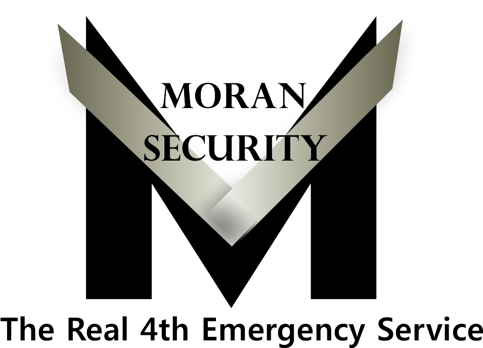 Design de Logo par D-Design pour Moran Security Ltd | Design #311028