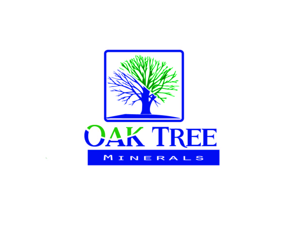 Design de Logo par crizchuck pour ce projet | Design #5919925