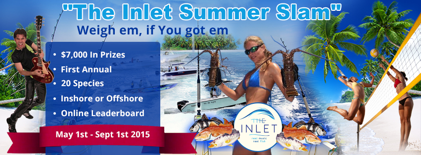 Banner-Design von Wings on web für dieses Projekt | Design #5973711