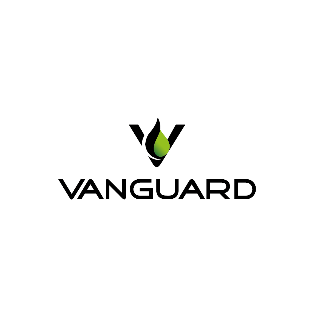 Logo-Design von EdBrandon für dieses Projekt | Design #1675496