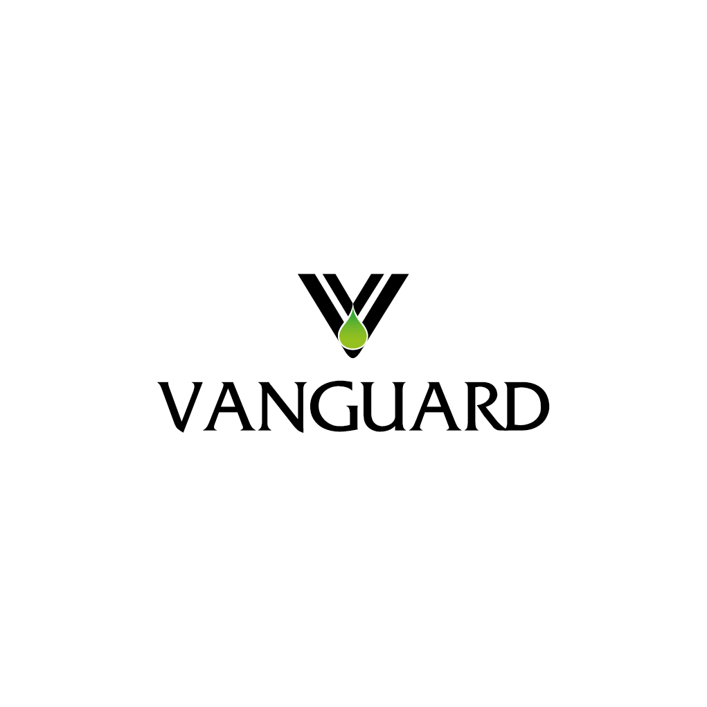Logo-Design von EdBrandon für dieses Projekt | Design #1723984