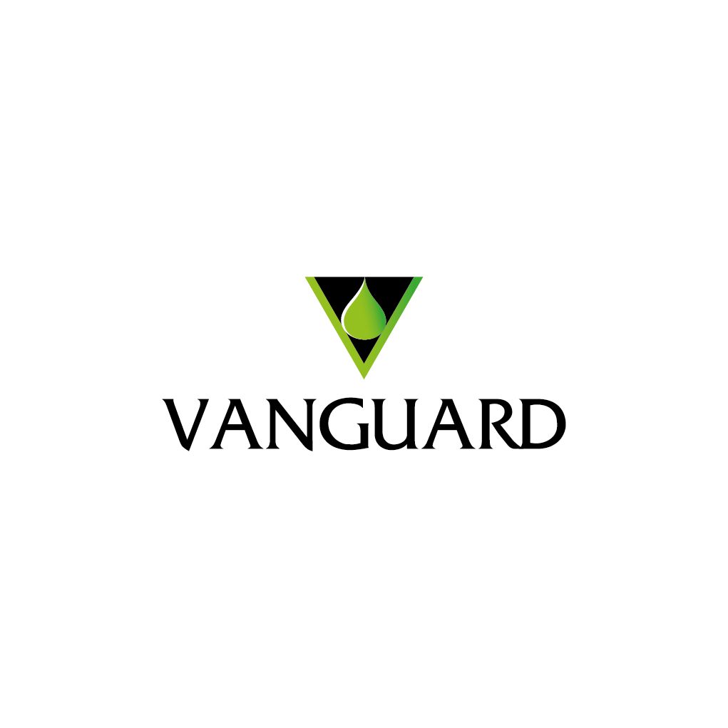Logo-Design von EdBrandon für dieses Projekt | Design #1724162