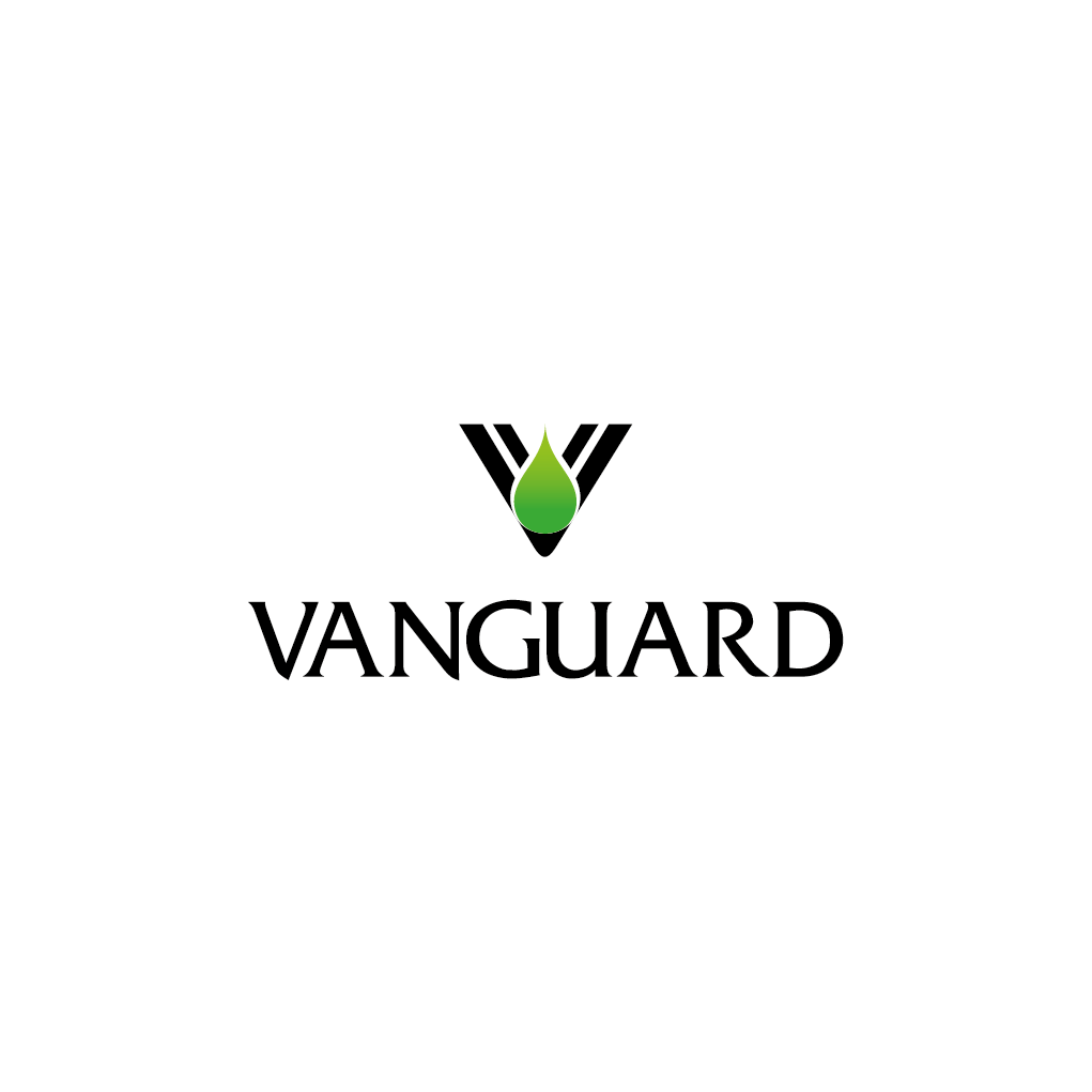 Logo Design by EdBrandon for this project | Design #1724217