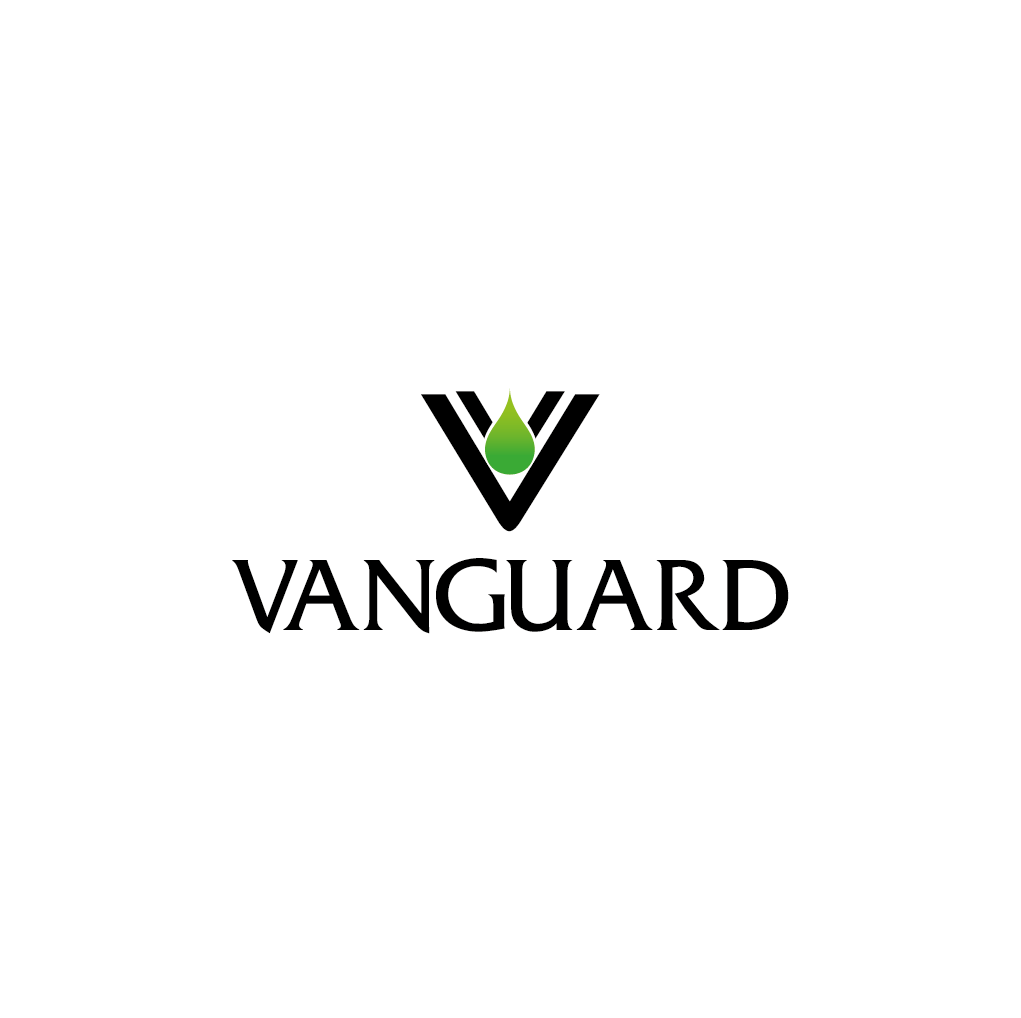 Logo-Design von EdBrandon für dieses Projekt | Design #1725197