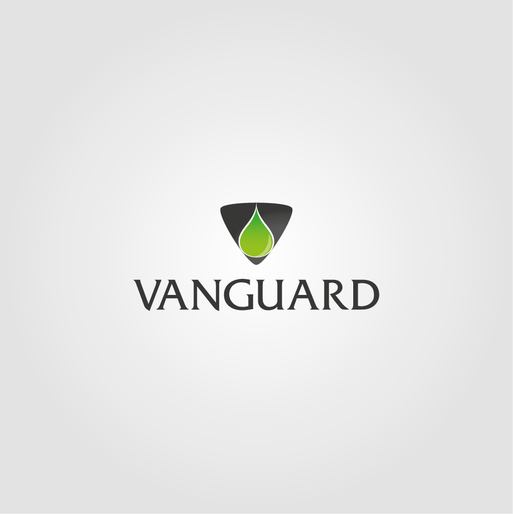 Logo Design by EdBrandon for this project | Design #1789881