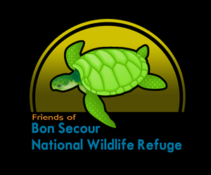 Logo Design by Douglas Moscoso for this project | Design: #1686418