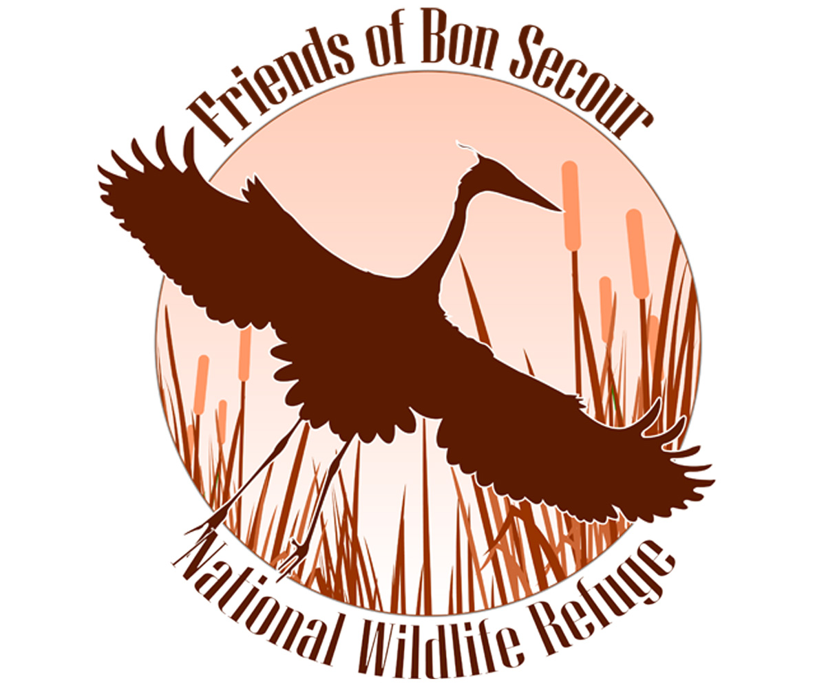 Logo Design by Stormcrow Design for this project | Design #1617652