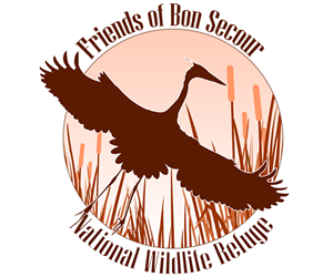 Logo Design by Stormcrow Design for this project | Design: #1617652