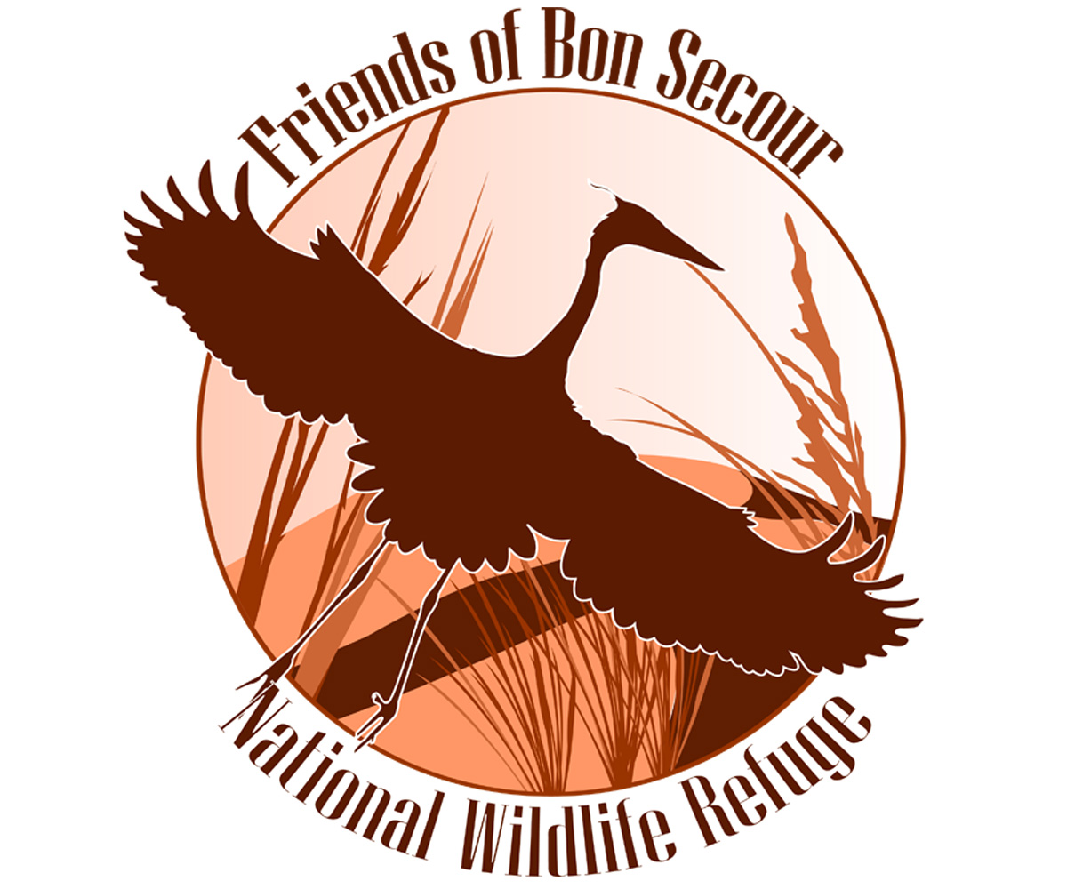 Diseño de Logo por Stormcrow Design para este proyecto | Diseño #1618433