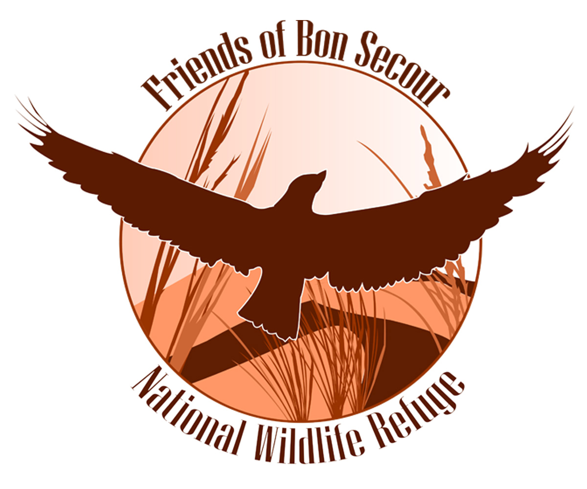 Logo Design by Stormcrow Design for this project | Design #1627815