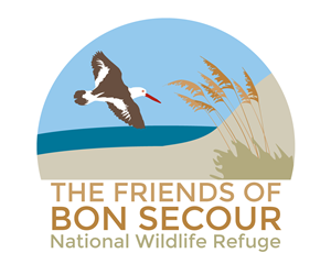 Logo Design by TAD2 for this project | Design: #1662960