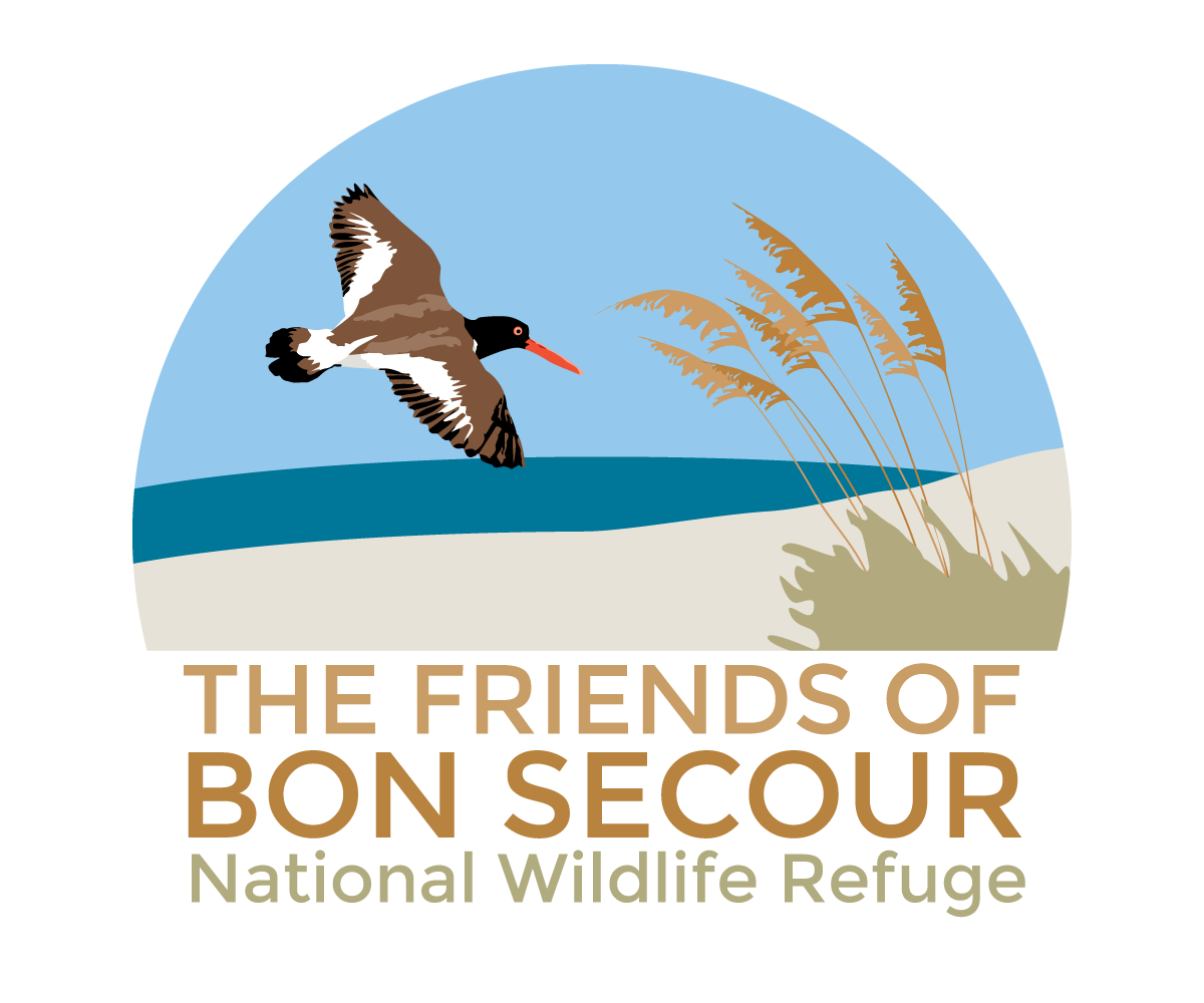 Logo Design by TAD2 for this project | Design #1666235