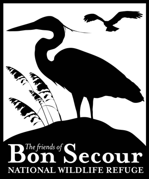 Logo Design by Kirsten Chambers
