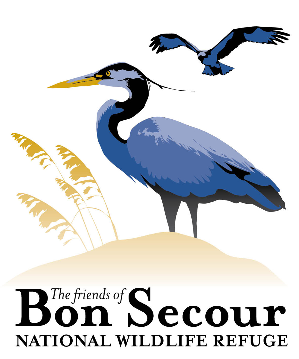 Logo Design by Kirsten Chambers for this project | Design #1619332