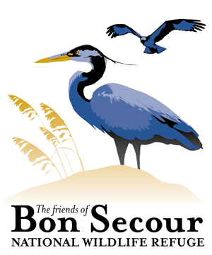 Logo Design by Kirsten Chambers for this project | Design: #1619332