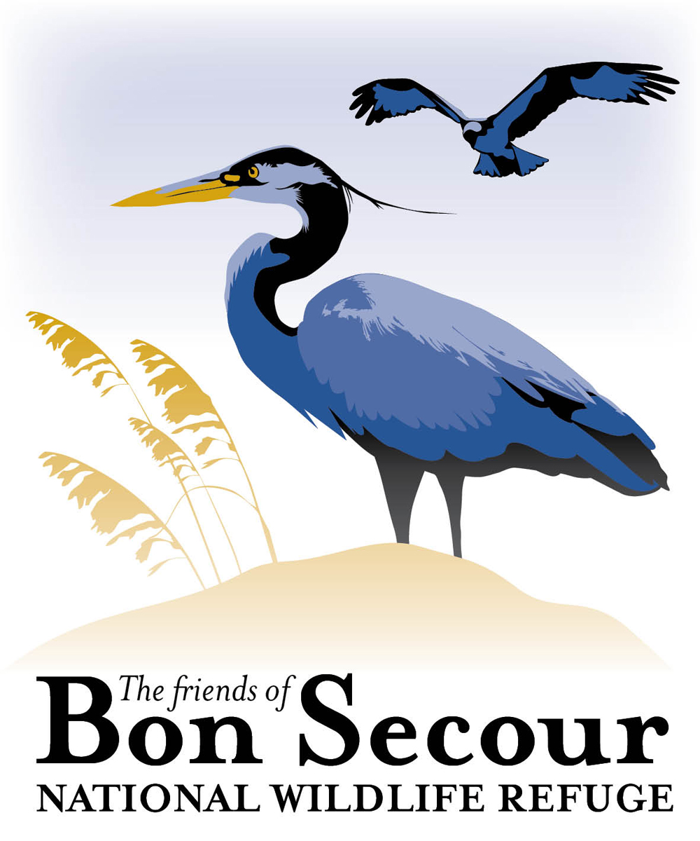 Logo Design by Kirsten Chambers for this project | Design #1619337