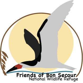 Logo Design by Micaelaa12 for this project | Design #1665820