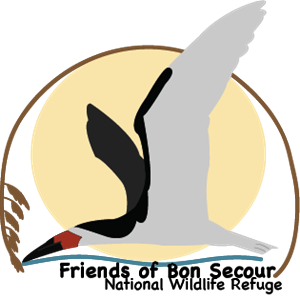 Logo Design by Micaelaa12 for this project | Design: #1665820