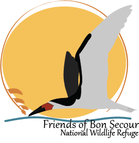 Logo Design by Micaelaa12 for this project | Design #1666033