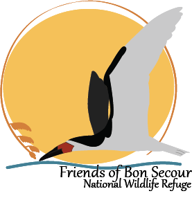 Logo Design by Micaelaa12