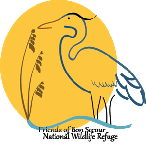 Logo Design by Micaelaa12 for this project | Design: #1666461