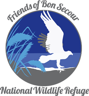 Logo Design by Howell Designs for this project | Design: #1622557