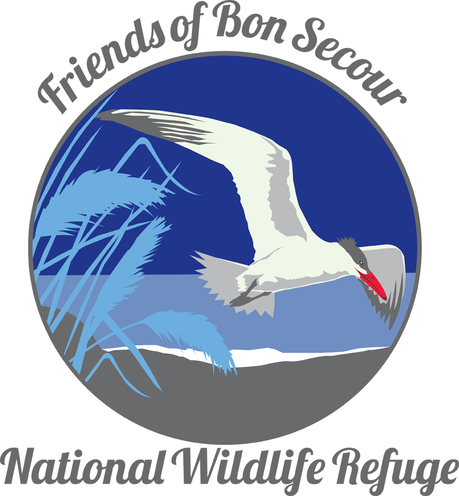Logo Design by Howell Designs for this project | Design #1667251