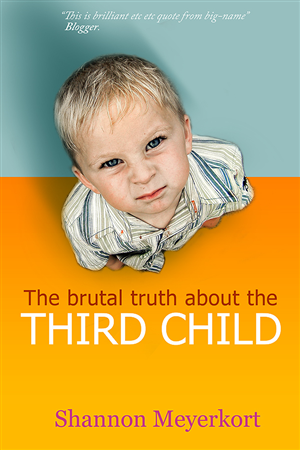 eBook Cover Design by Tatlin for this project | Design: #5973512