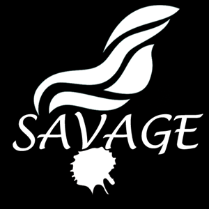 Logo Design by brah