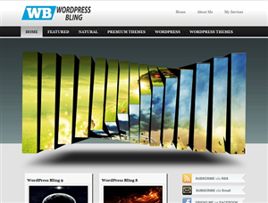 Wordpress Design by Rosc
