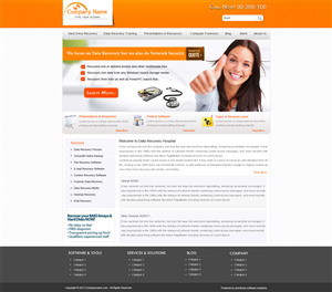 Wordpress Design by Prominere Software Solutions