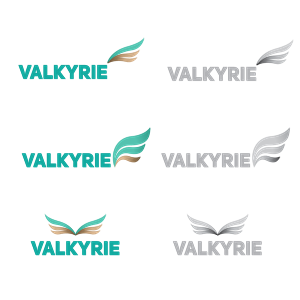 Logo Design by Vladimir Vujeva for this project | Design: #5973369