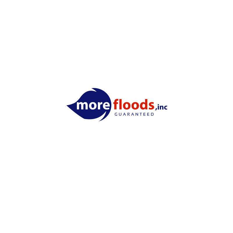 Logo Design by Alchemist for More Floods | Design #1630936