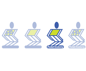 Logo Design by WholeBranding®
