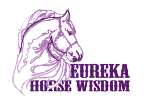 Logo Design by Angler Designs