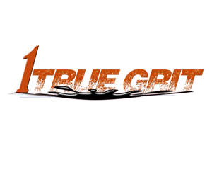 Logo Design by fireworkers