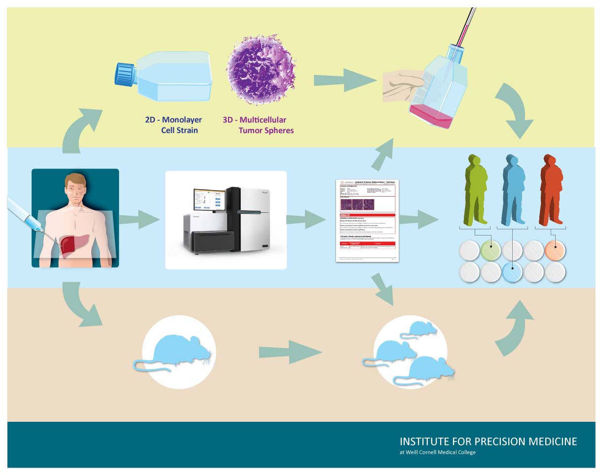 Illustration Design by Rogério Silva for this project | Design #6010811