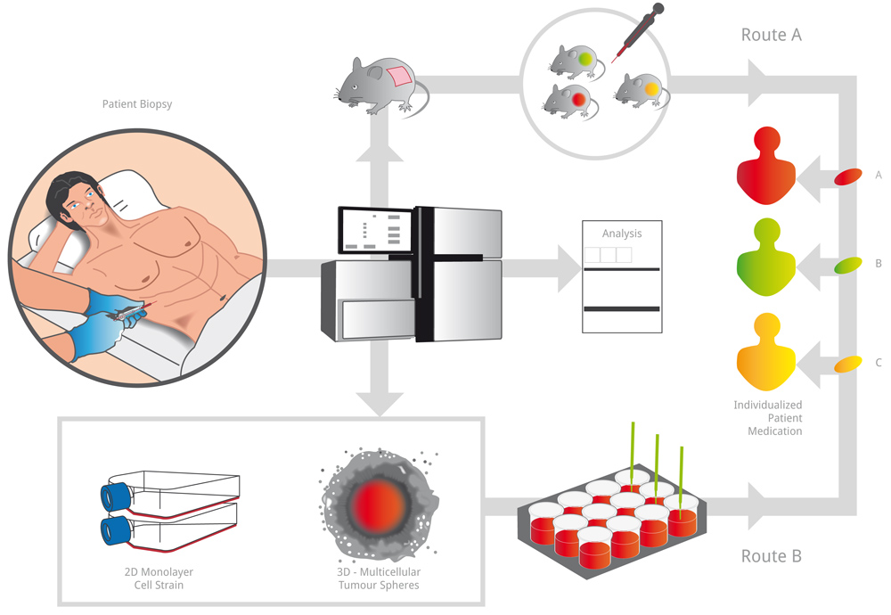Design Illustration par Designer Mate pour ce projet | Design #5997364