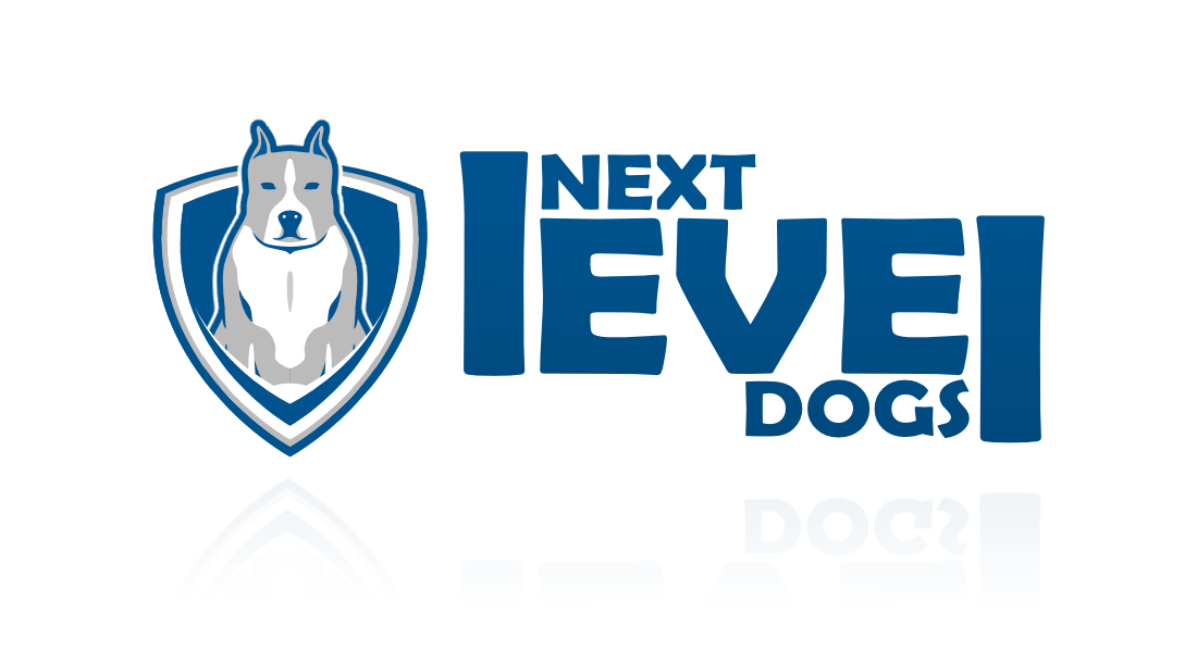 Logo Design by Eight Star Design for Online BJJ Project | Design #6030386