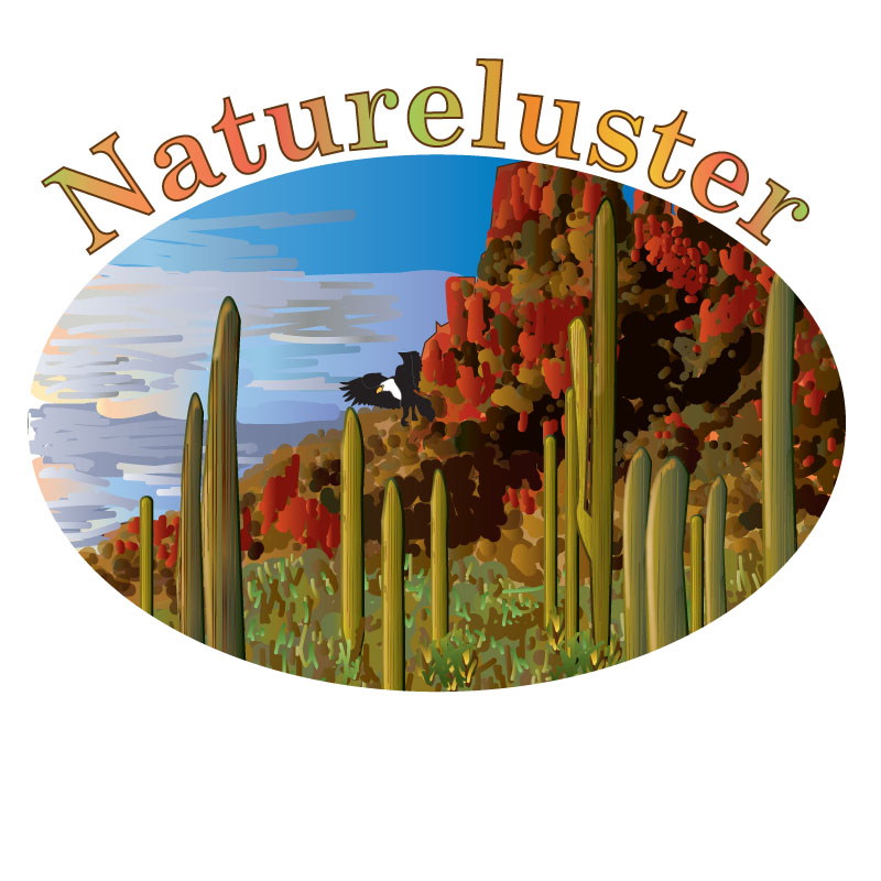 Design de Logo par ktgrandy pour Natureluster | Design #5984205