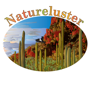 Logo Design by ktgrandy
