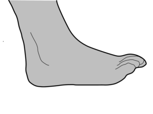 Vector Design by reza_77a for FUNDACION TECNALIA | Design: #6901450