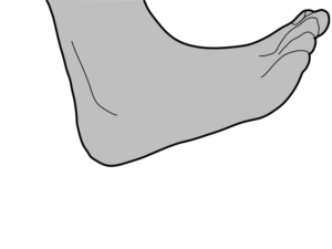 Vector Design by reza_77a for FUNDACION TECNALIA | Design: #6901452