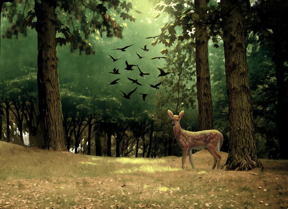 Illustration Design by sdrum for Word Seeds | Design #1681720