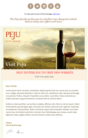 Newsletter Design by Expert Designer